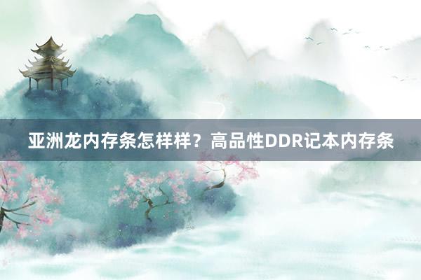 亚洲龙内存条怎样样？高品性DDR记本内存条