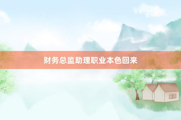 财务总监助理职业本色回来